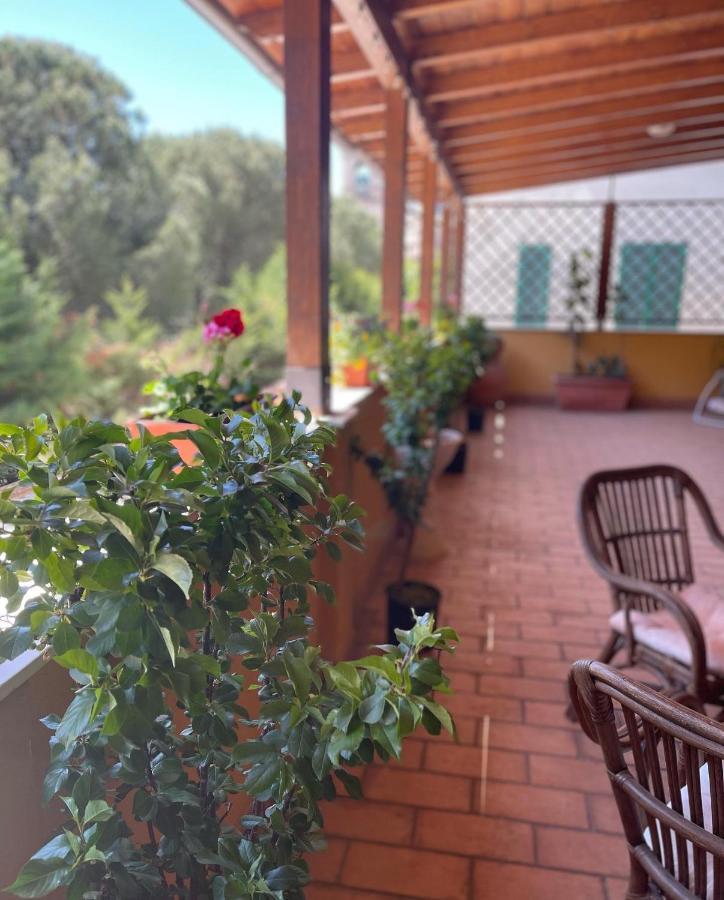 La Terrazza Dei Ciliegi Hotel Santa Maria Degli Angeli  Exterior foto